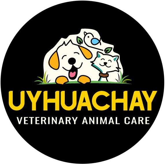 Centro Veterinario Uyhuachay